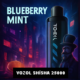 Vozol Shisha 25000 Blueberry Mint