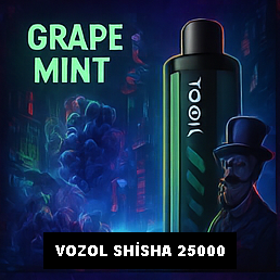 Vozol Shisha 25000 Grape Mint
