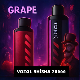 Vozol Shisha 25000 Grape