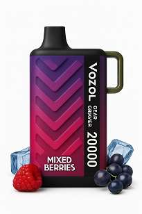 Vozol Gear Power 20000 Mixed Berries