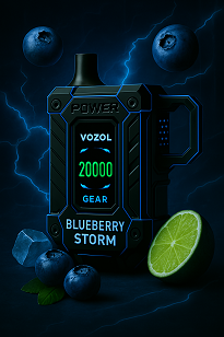 Vozol Gear Power 20000 Blueberry Storm